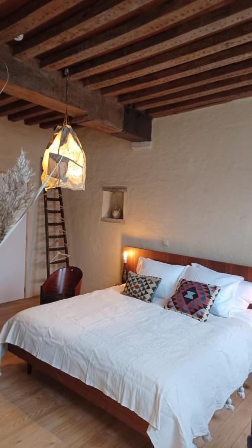 De Zomere B&B ブルージュ エクステリア 写真